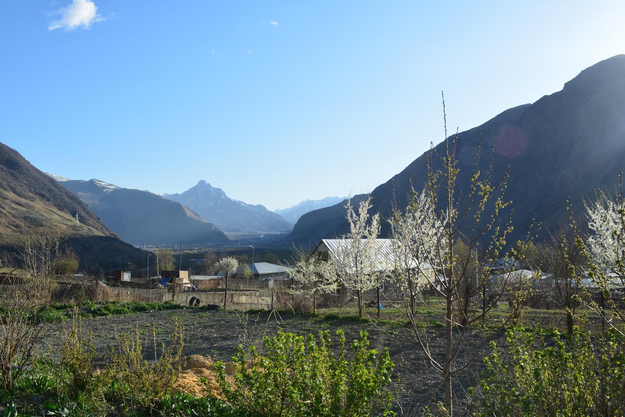 Ekaterine Guest House Kazbegi Exterior foto